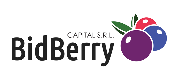 Bidberry Capital Logo